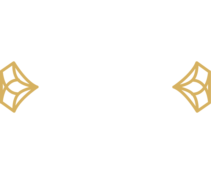 lfdm logo blanc 02